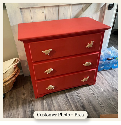Dinosaur Dresser Knobs
