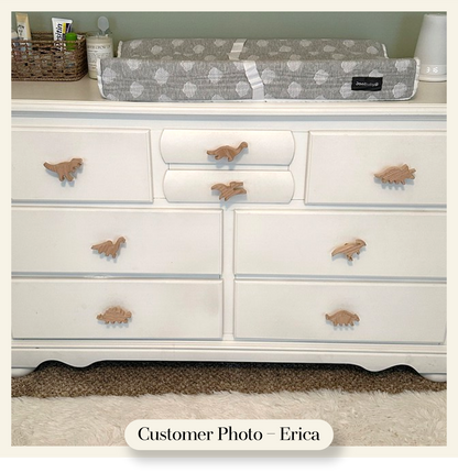 Dinosaur Dresser Knobs