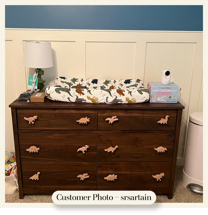 Dinosaur Dresser Knobs