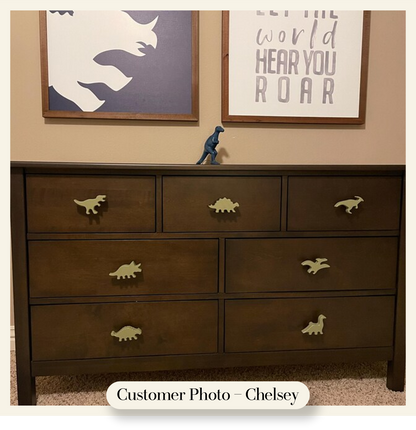 Dinosaur Dresser Knobs