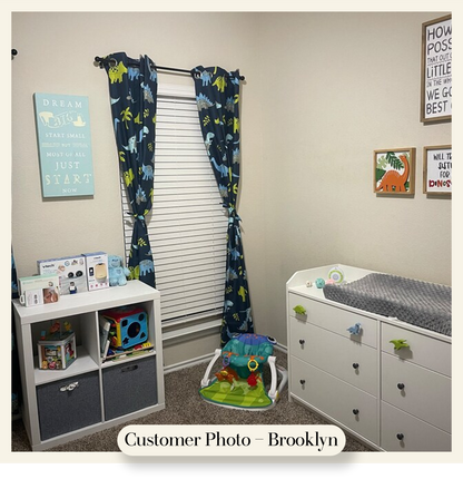 Dinosaur Dresser Knobs